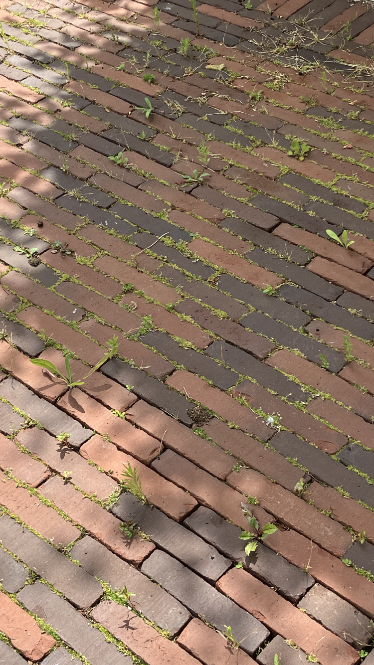 Driveway Pressure Washing in Cambridgeshire